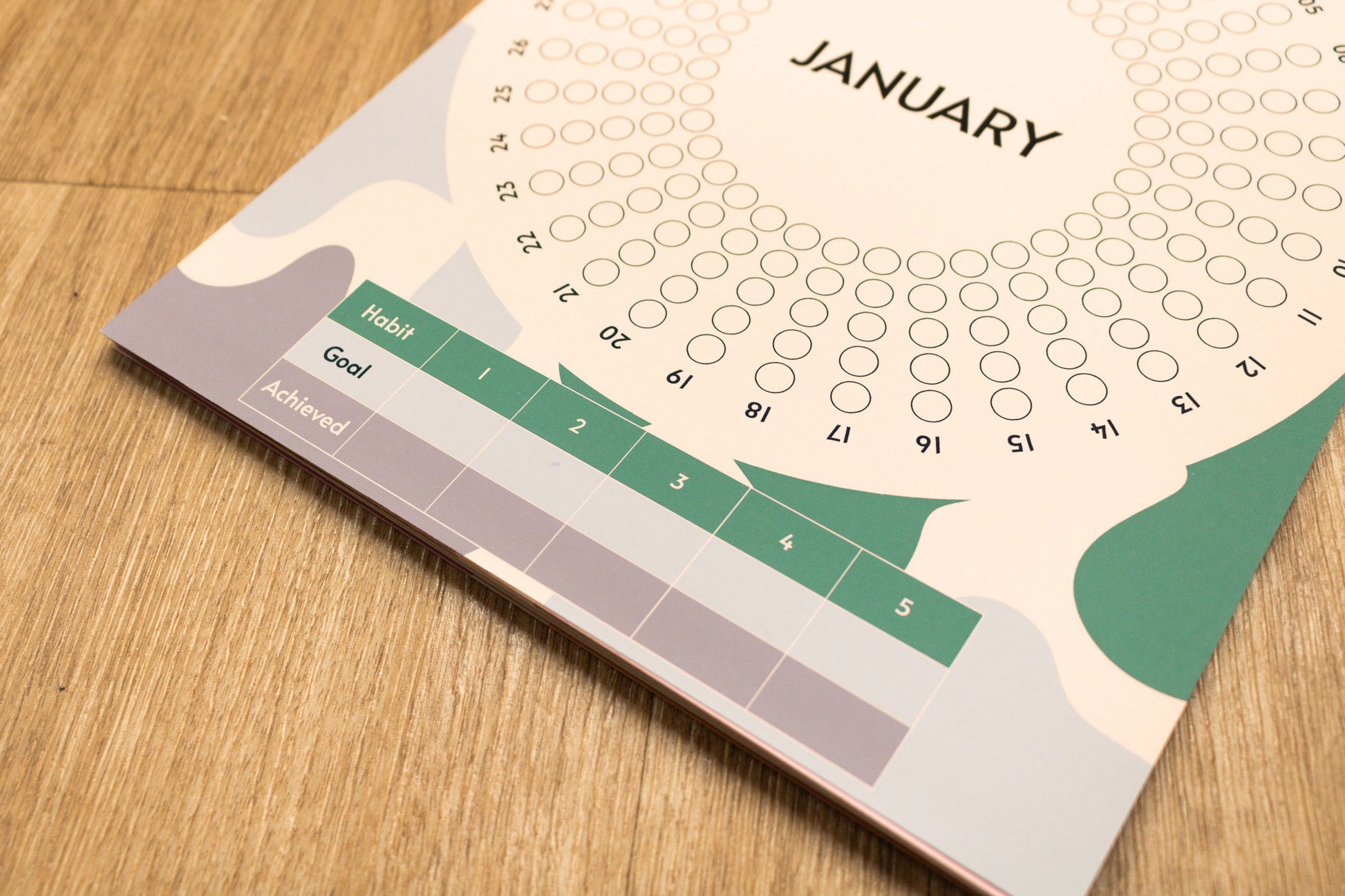 Modern Colourful 12-month Habit Tracker by Mellow Apricot Studio - January Page Close Up