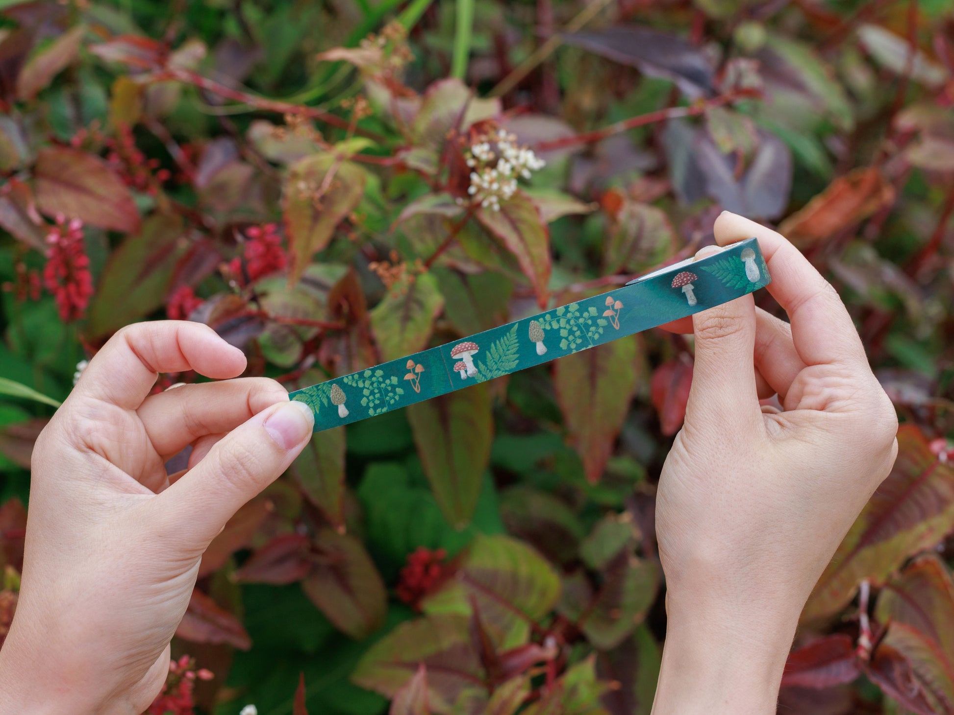 Mushroom and Fern Washi Tape - held in hands - outside