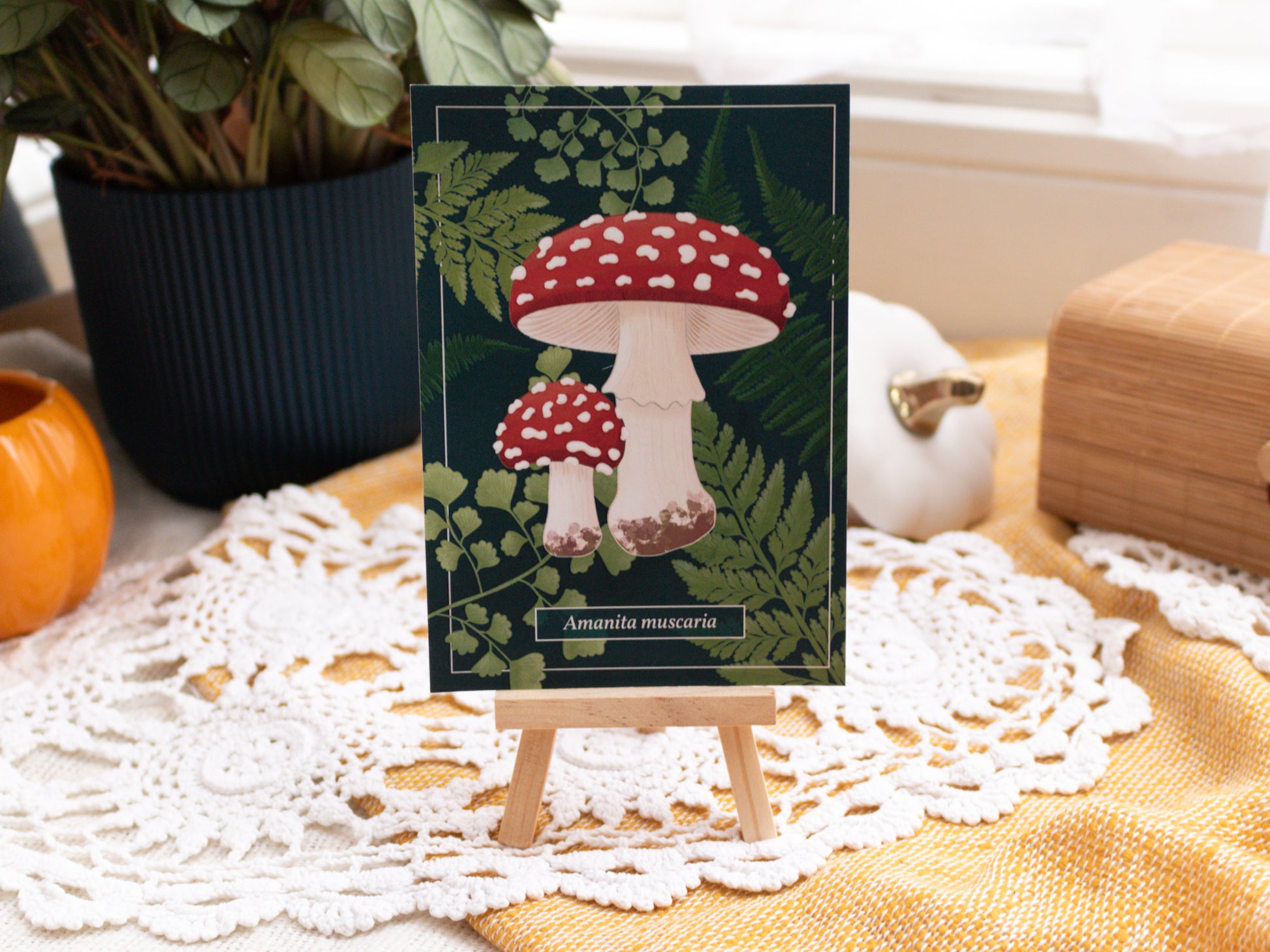 Fly Agaric Mushroom Postcard