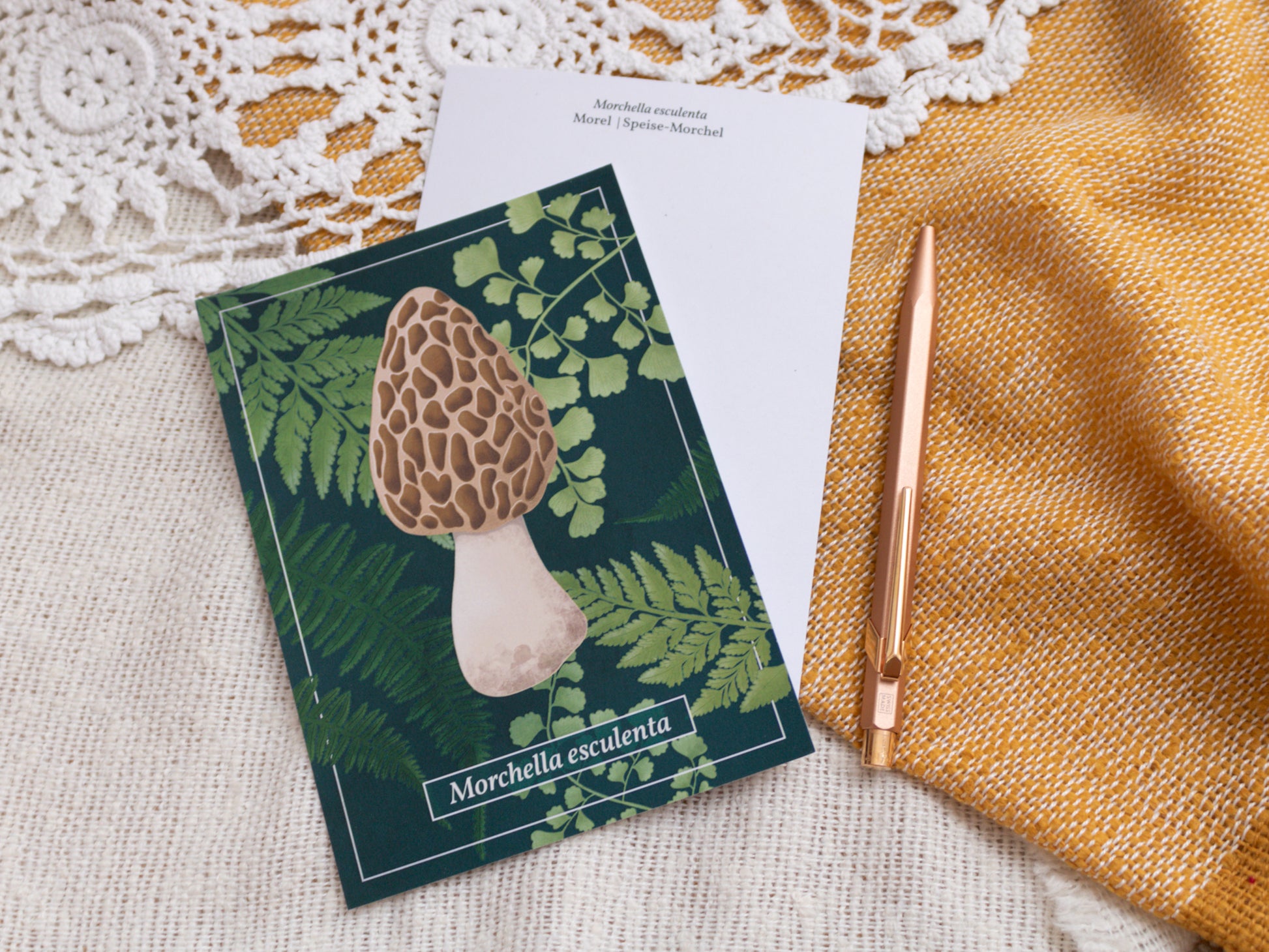 Morel Mushroom Postcard with Pen