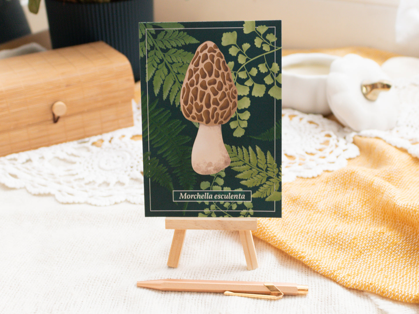 Morel Mushroom Postcard