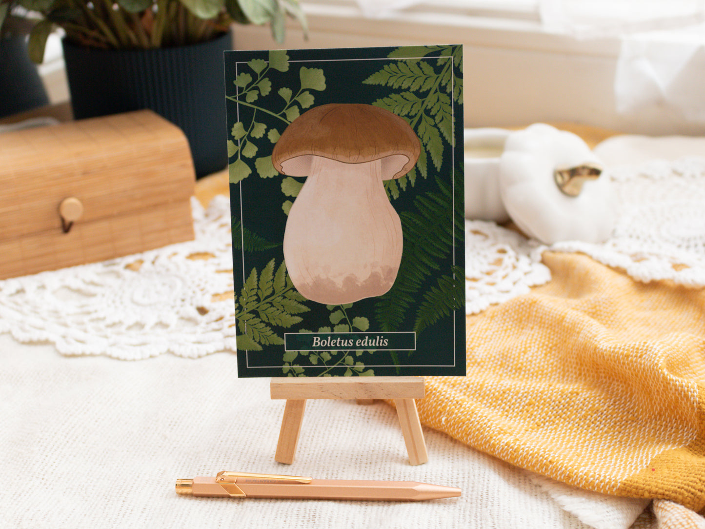 Penny Bun Mushroom Postcard