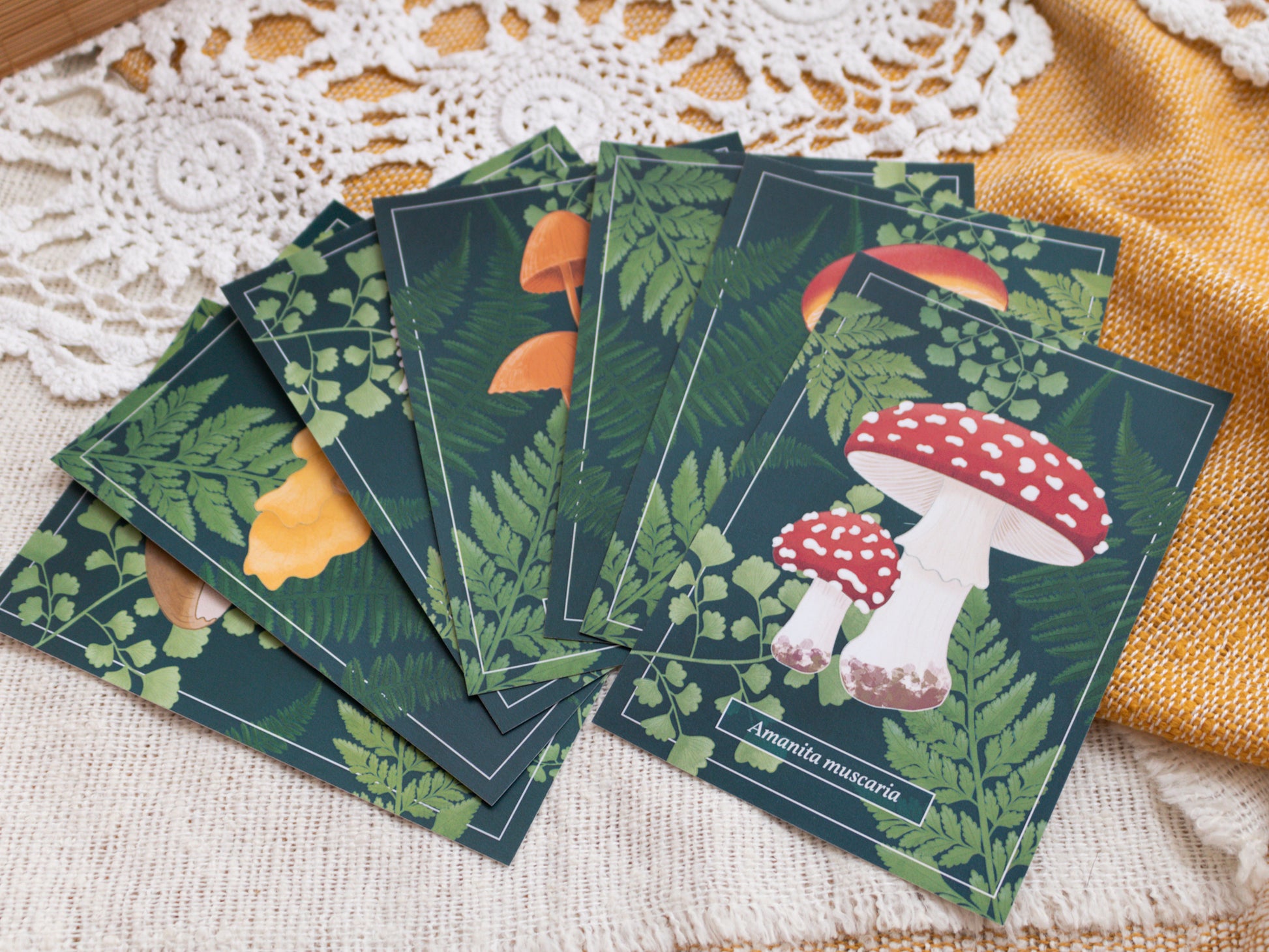 Mushroom Post Card Bundle