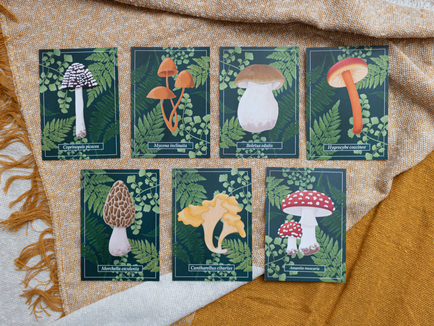 Mushroom Postcard Set of 7 - flatlay