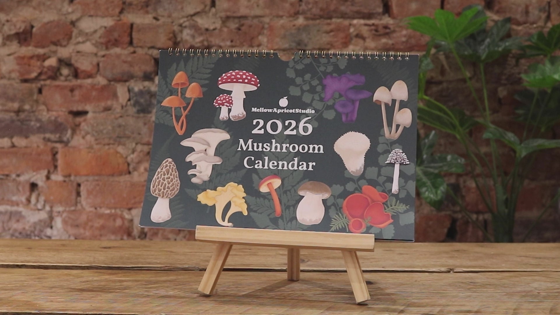 2026 Mushroom Wall Calendar - hands flipping through all pages